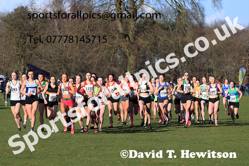 Junior Womens 2025 Northern Cross Country Champs, Tatton Park, Knutsford, Cheshire. Photo: David T. Hewitson/Sports for All Pics